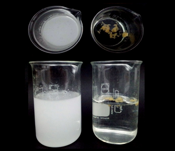 지방유화 방해(in vitro)